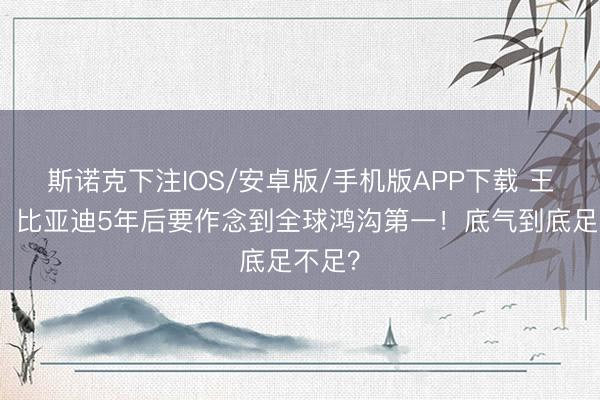 斯诺克下注IOS/安卓版/手机版APP下载 王传福:比亚迪5年后要作念到全球鸿沟第一!底气到底足不足?