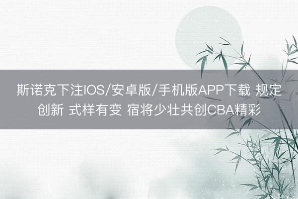 斯诺克下注IOS/安卓版/手机版APP下载 规定创新 式样有变 宿将少壮共创CBA精彩
