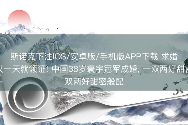 斯诺克下注IOS/安卓版/手机版APP下载 求婚收效仅一天就领证! 中国38岁寰宇冠军成婚， 一双两好甜密般配