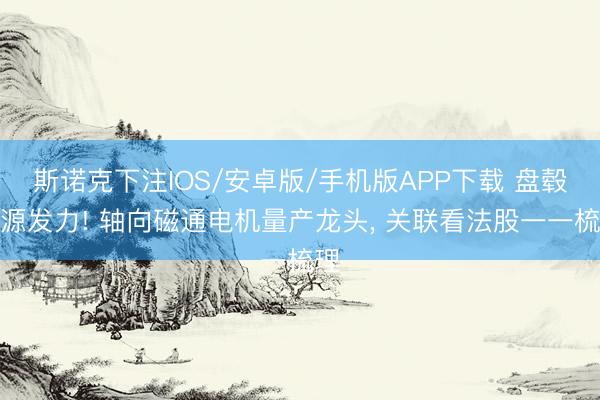 斯诺克下注IOS/安卓版/手机版APP下载 盘毂能源发力! 轴向磁通电机量产龙头， 关联看法股一一梳理