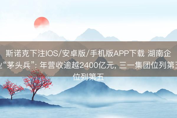 斯诺克下注IOS/安卓版/手机版APP下载 湖南企业“茅头兵”: 年营收逾越2400亿元, 三一集团位列第五