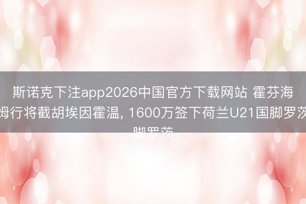 斯诺克下注app2026中国官方下载网站 霍芬海姆行将截胡埃因霍温, 1600万签下荷兰U21国脚罗茨