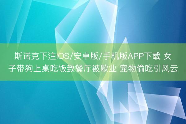 斯诺克下注IOS/安卓版/手机版APP下载 女子带狗上桌吃饭致餐厅被歇业 宠物偷吃引风云