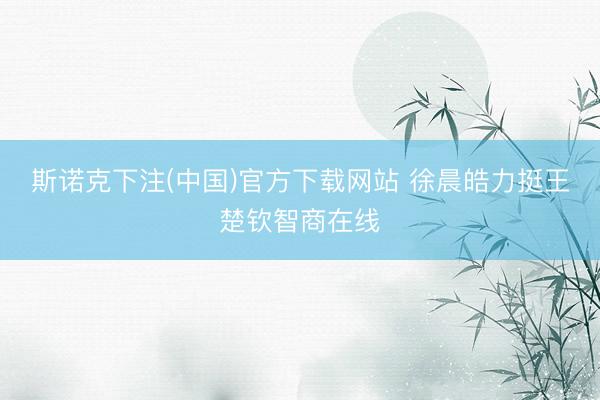 斯诺克下注(中国)官方下载网站 徐晨皓力挺王楚钦智商在线