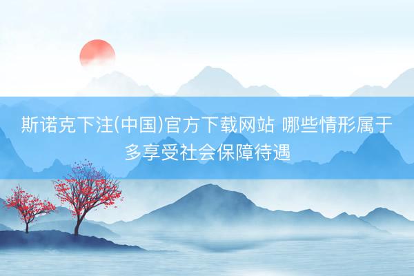 斯诺克下注(中国)官方下载网站 哪些情形属于多享受社会保障待遇