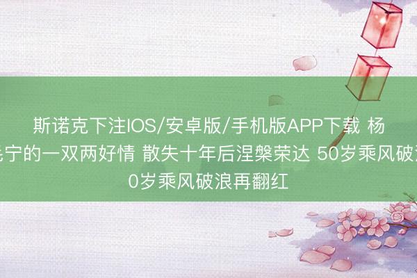 斯诺克下注IOS/安卓版/手机版APP下载 杨钰莹与毛宁的一双两好情 散失十年后涅槃荣达 50岁乘风破浪再翻红