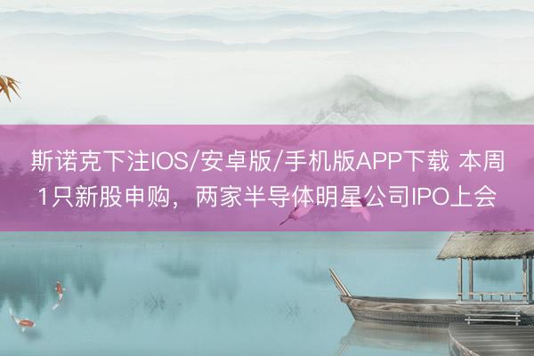 斯诺克下注IOS/安卓版/手机版APP下载 本周1只新股申购，两家半导体明星公司IPO上会