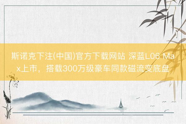 斯诺克下注(中国)官方下载网站 深蓝L06 Max上市,搭载300万级豪车同款磁流变底盘