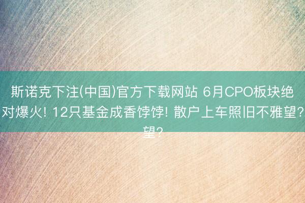 斯诺克下注(中国)官方下载网站 6月CPO板块绝对爆火! 12只基金成香饽饽! 散户上车照旧不雅望?