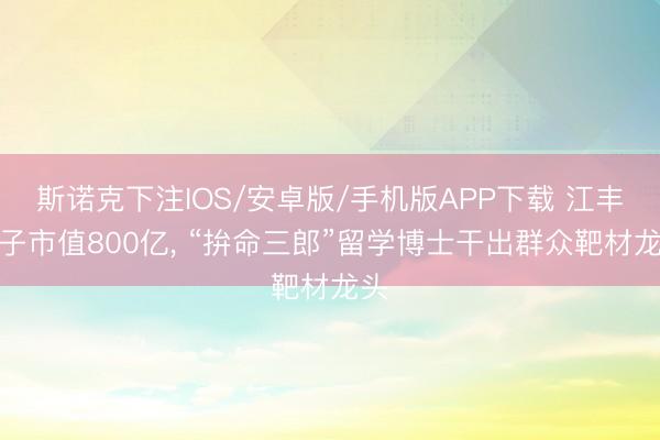 斯诺克下注IOS/安卓版/手机版APP下载 江丰电子市值800亿, “拚命三郎”留学博士干出群众靶材龙头