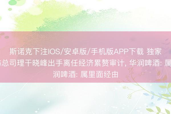 斯诺克下注IOS/安卓版/手机版APP下载 独家|对水井坊总司理干晓峰出手离任经济累赘审计， 华润啤酒: 属里面经由